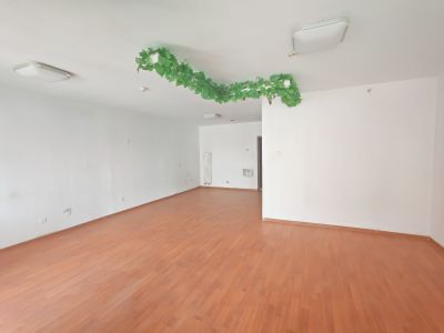 丁豪广场(17租)