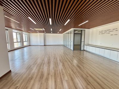 山钢新天地(17租)