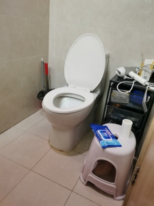 园博派
