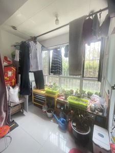 鑫园小区闻松台