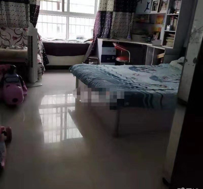 豪华装修,拎包入住,真正的地铁楼盘,升值空间无限