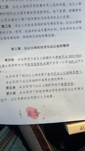 水上公园路