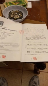 水上公园路
