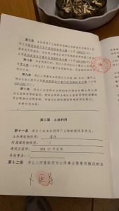 水上公园路