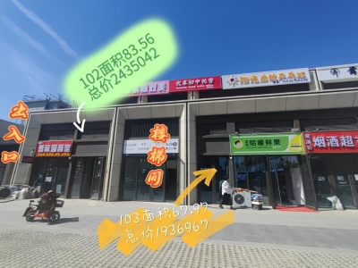 金科四季春晓
