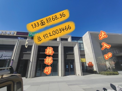 金科四季春晓