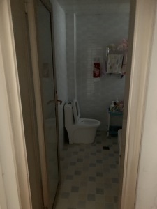 总府