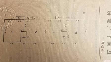 枫树湾社区