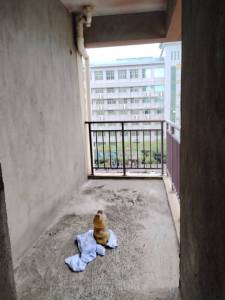 凤华大厦