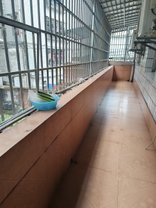 张家大屋