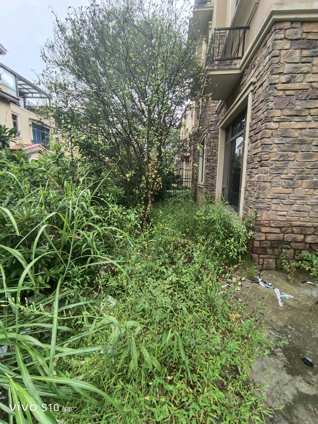 碧桂园鸣翠谷 4室2厅2卫 165万 