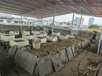 金陵东区