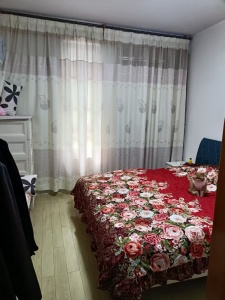 文化小区