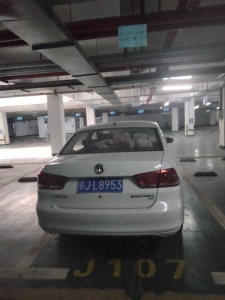 金御天下