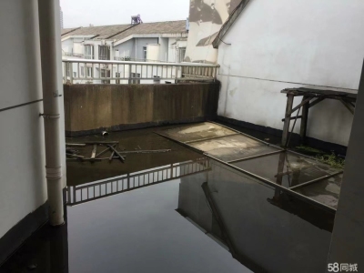 苏州河畔