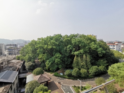 商城