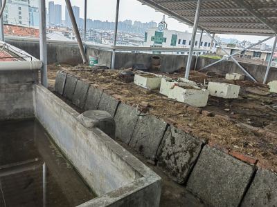 金陵东区