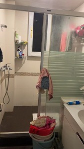 总府