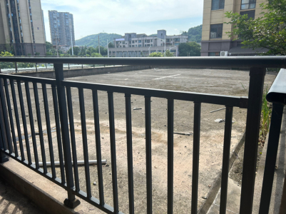 金御天下