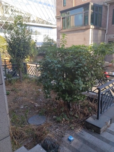 上海人家