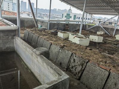 金陵东区