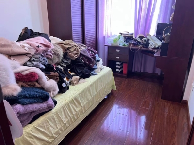 东方巴黎一期