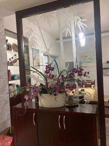 南北通透,次新小区,黄金地段,楼层好,采光很棒,性价比高