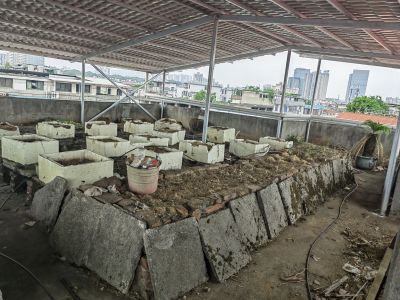 金陵东区