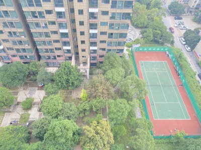 凤凰天成