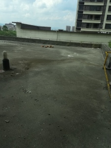 绿地·铂瑞公馆