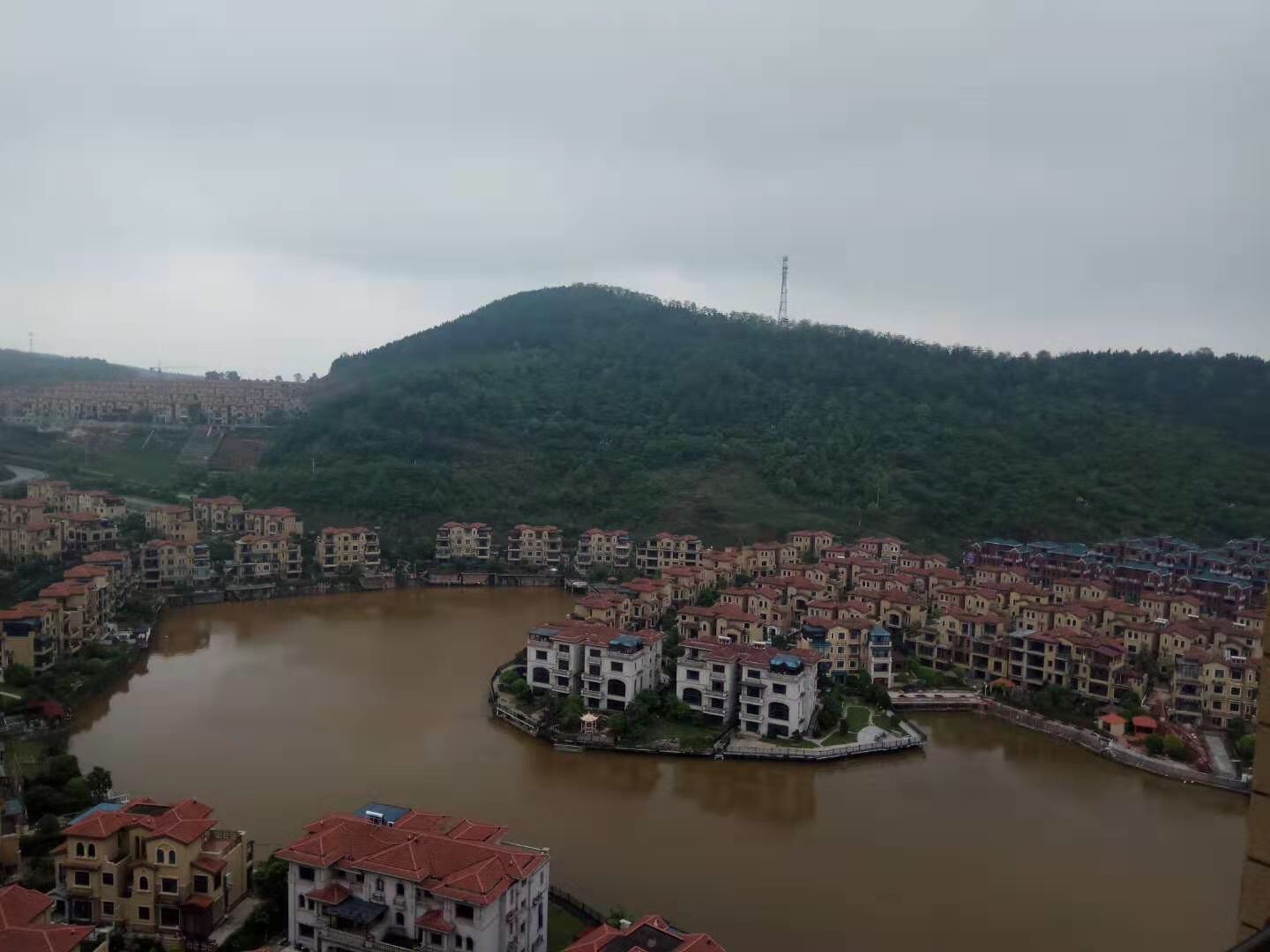 碧桂园 24 2室1厅1卫 南北 精装 