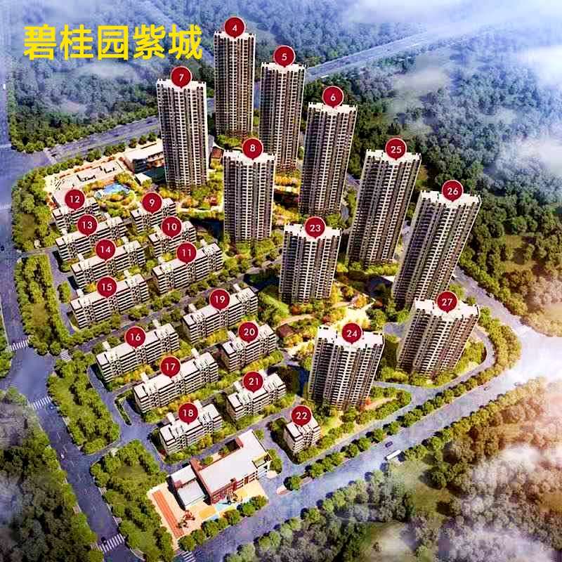 碧桂园紫宸
