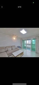 新梅共和城