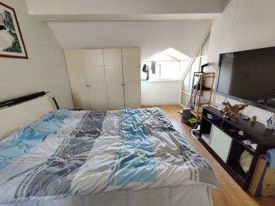 住友宝莲