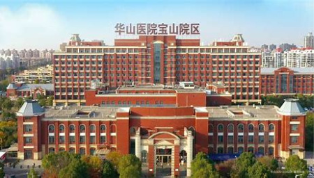 中建山水雅境