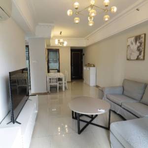 豪华装修,拎包入住,真正的地铁楼盘,升值空间无限