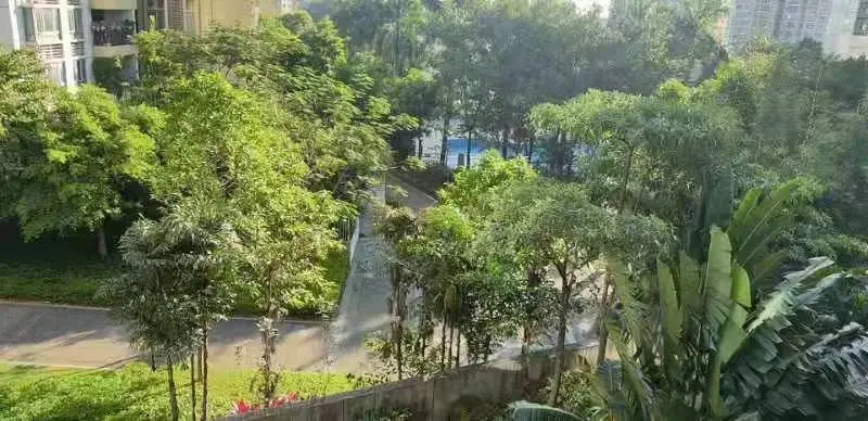 侨香村