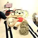 张佳