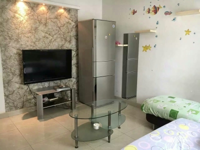 购物公园附近，石厦金装1房1厅，家私全齐，拎包入住