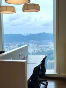 平安国际金融中心大厦