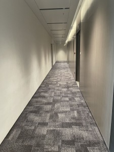 中洲湾
