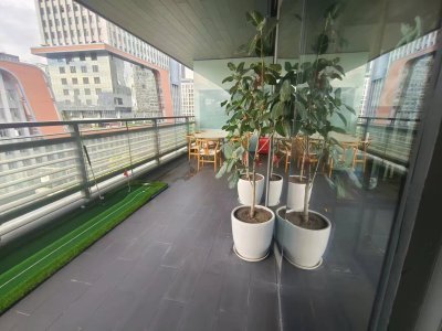 金谷6号