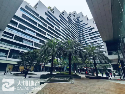 金谷6号