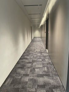 中洲湾