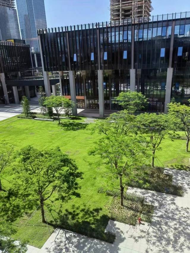 前海深港青年梦工场北区